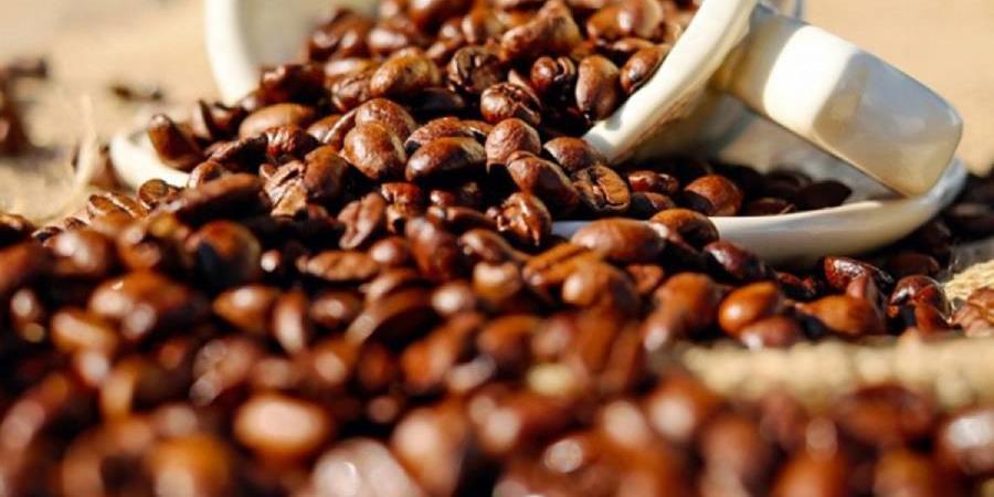 kafa