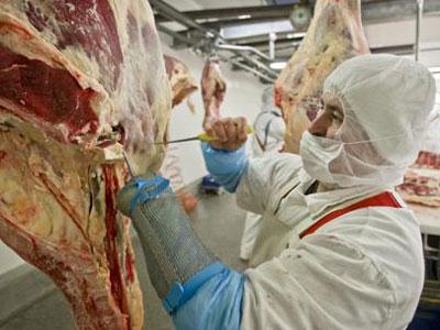 Britanci pretražuju firme zbog skandala sa konjetinom