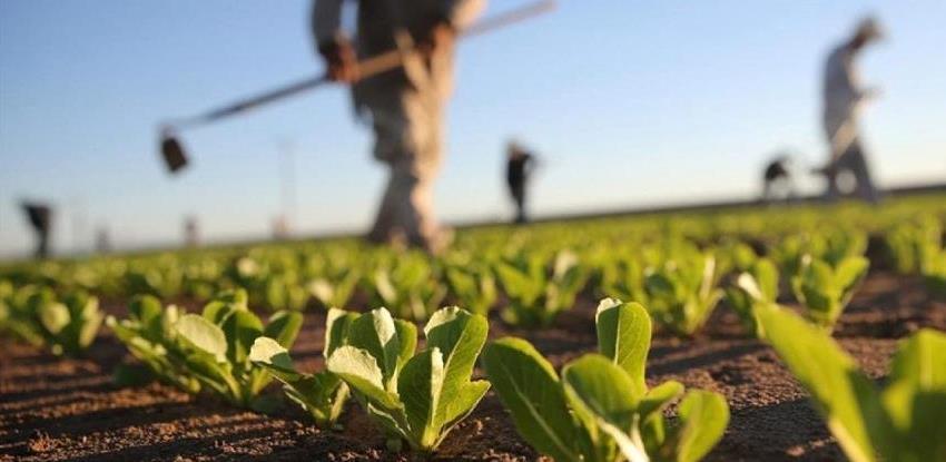 Pravilnik o izmjeni Pravilnika o ostvarivanju novč. podrške-poticaji proizvodnji
