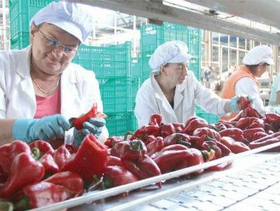 Domaći ajvar od uvozne paprike