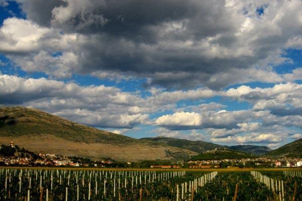 Trebinjski Agrokop ide u samostalnu proizvodnju