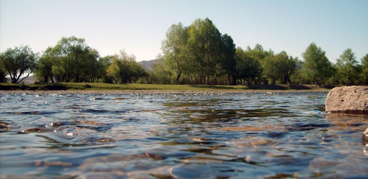 Eko Akcija: Svjetski finansijski špekulanti su iznašli način da unovče krizu