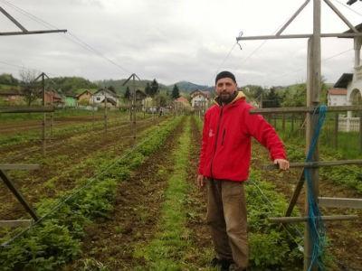 Inžinjer saobraćaja i nekadašnji reper Dr. Zo u svijetu uzgoja malina