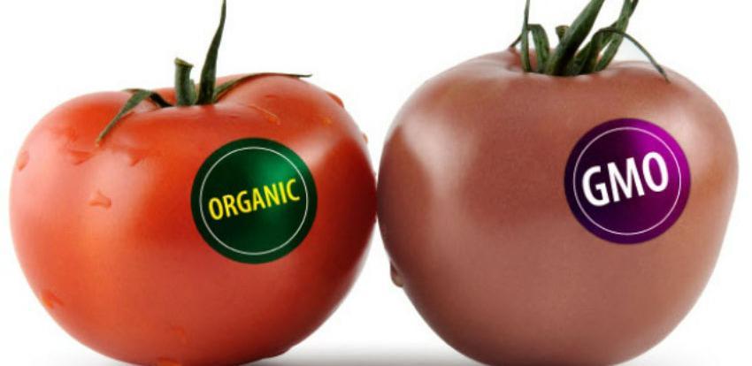 Centar za životnu sredinu: I domaći proizvodi sadrže GMO