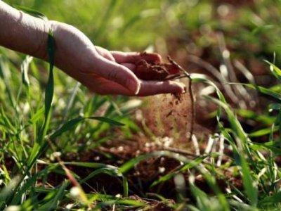 I u krizi irska poljoprivreda sa impresivnih 9 milijardi eura izvoza