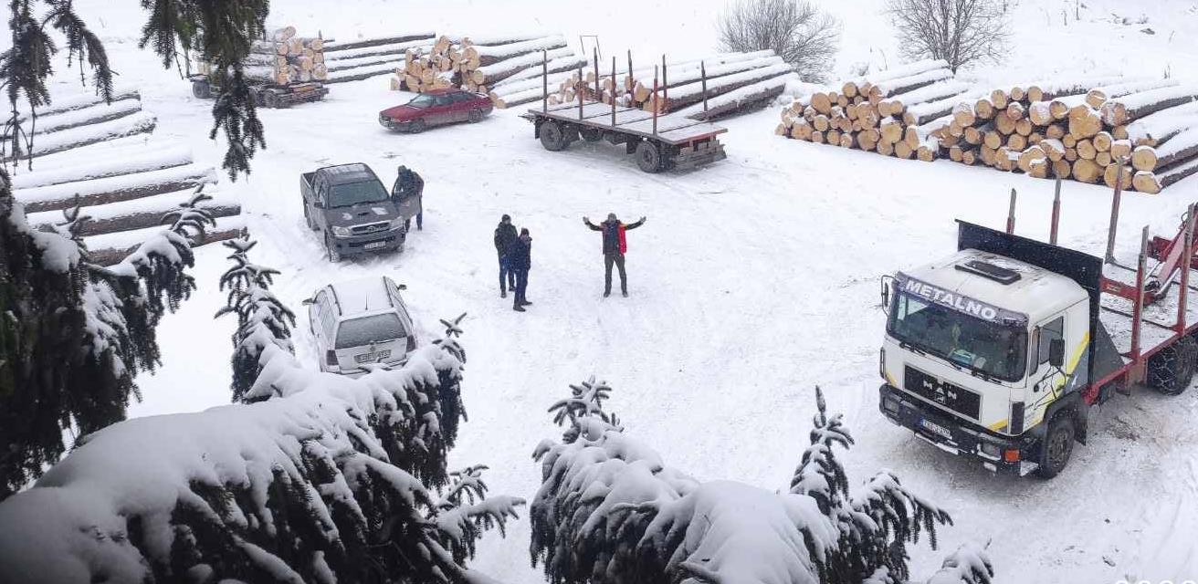 prodaja drva
