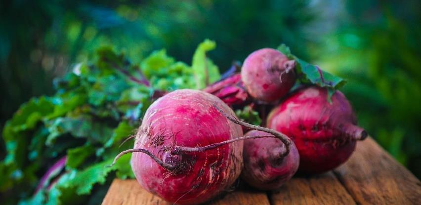 Dani poljoprivrede općine Konjic 9. septembra u Buturović Polju