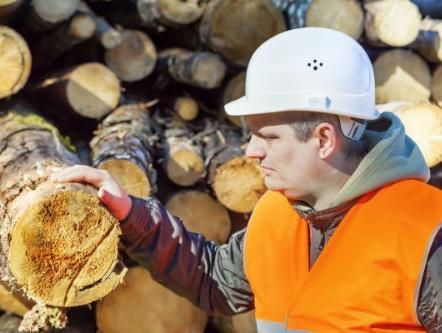 Od 21 grane prerađivačke industrije 11 ostvarilo rast proizvodnje
