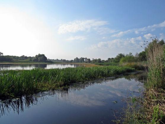 Oživljavanje močvare Tišina kod Šamca