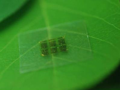 Biorazgradiva tehnologija: Računalni čipovi od drveta