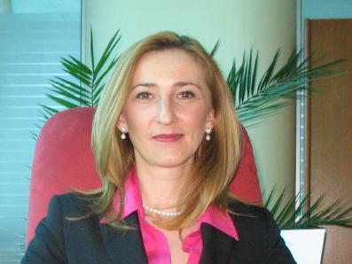 BiH godišnje dobije preko 700 upita vezanih za strane investicije