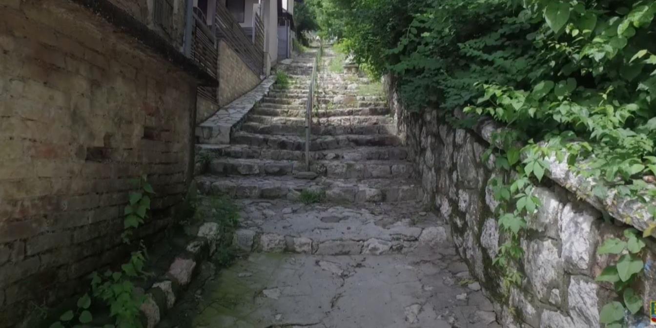 Mice Todorović