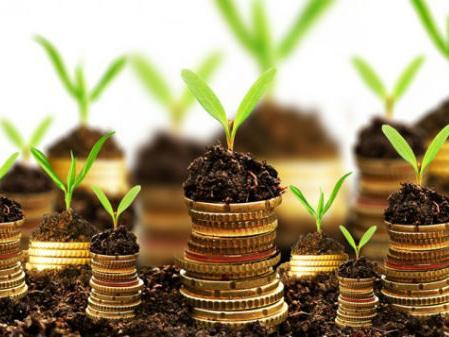 Usvojeni Razvojno-investicioni program institucija BiH obuhvata 261 projekt