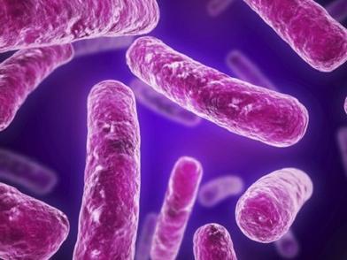 Revolucionarno otkriće: Antibiotik koji ubija i superbakterije