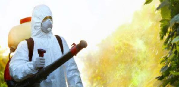 UN: Pesticidi uzrokuju 200 hiljada nepotrebnih smrti godišnje