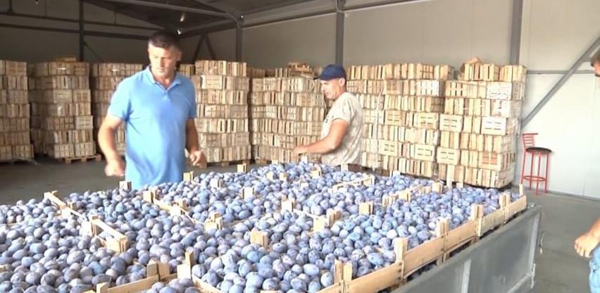 Šljive iz Maoče u Njemačkoj: Može se solidno živjeti od voćarstva