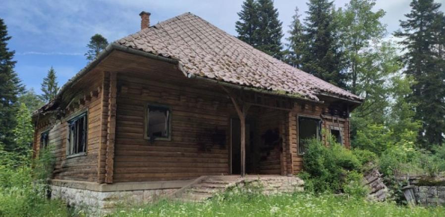 vila karađorđevića