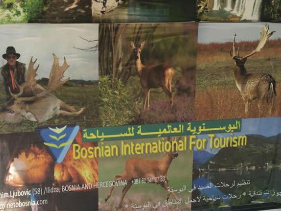 Turizam u raljama nelegalnih turističkih agencija i vodiča