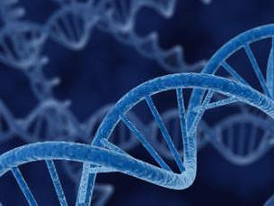 Nova Facebook aplikacija proučavat će DNK korisnika