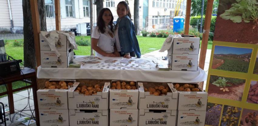 Mladi krumpir postao ljubuški brend prepoznatljiv širom BiH