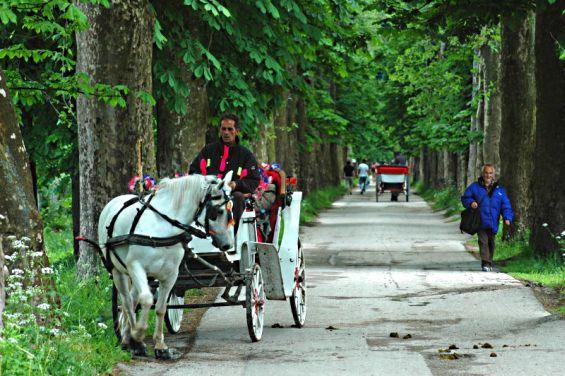 Slavlje je počelo: Puna izletišta širom BiH