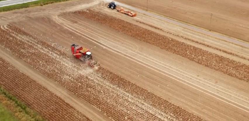 Na 900 hektara zemljišta u Odžaku rastu mnogobrojne sjemenske kulture