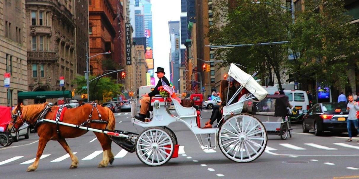 horse carriage