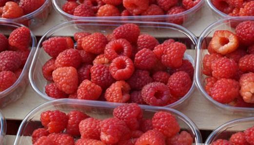 Promocija rezultata u izvozu svježe maline iz Bosne i Hercegovine