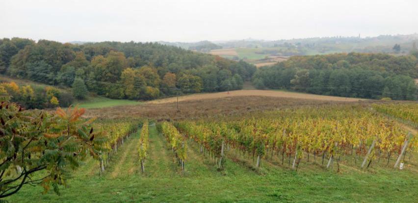 Preporuke vinogradima za zaštitu vinove loze