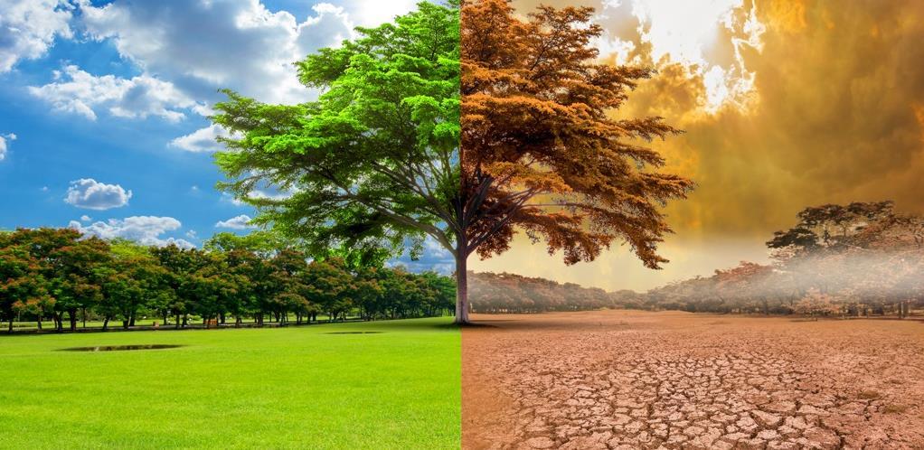 Borba protiv klimatskih promjena - Izvršna vlast EU za veliku reviziju zakona