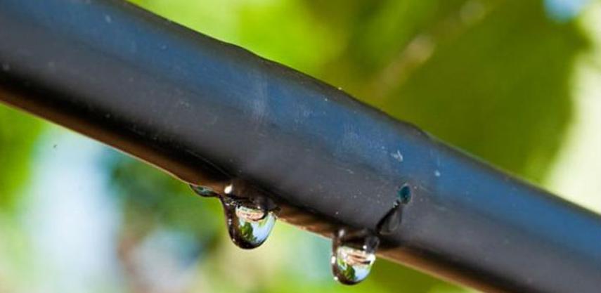 Jedan od najvećih sistema za navodnjavanje gradit će se u Trebinju