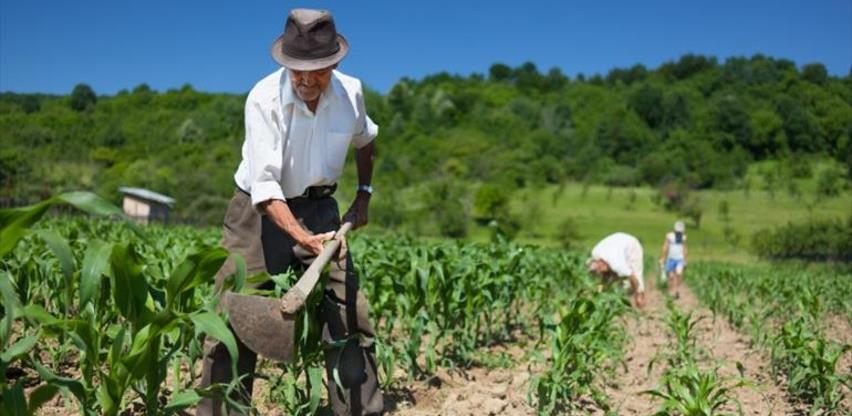 Da li je FBiH dobila 15 hiljada novih poljoprivrednika ili potrošača budžeta?