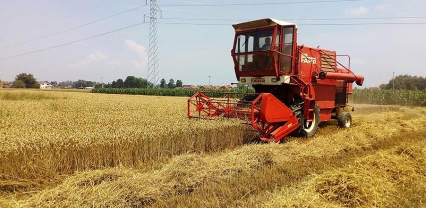 proljetna sjetva