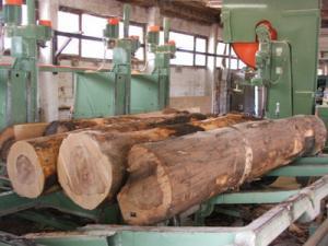 Interesovanje Italijana za Novu Borju