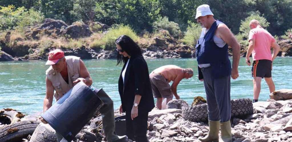 Drina