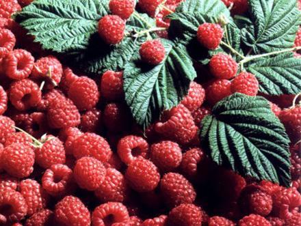 7. Međunarodni sajam organske proizvodnje i eko turizma