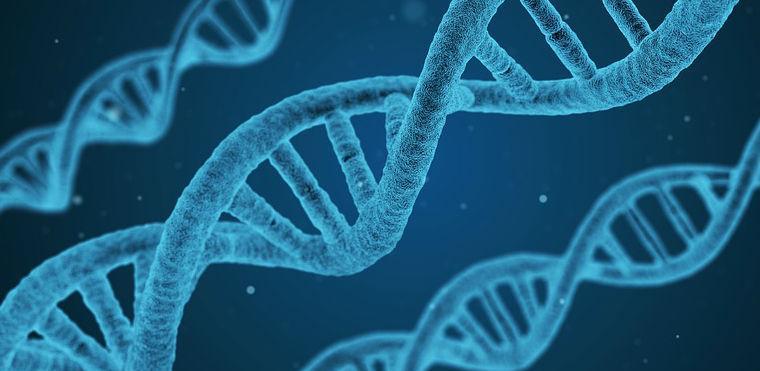 Simptomi koji ukazuju na leukemiju