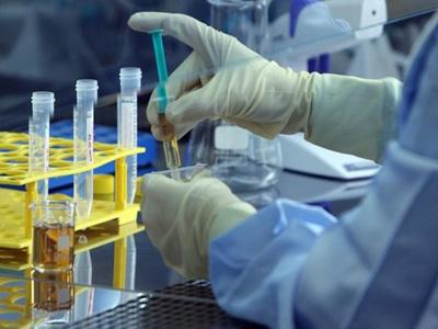 Hibridi ljudi i životinja zabrinjavaju naučnike