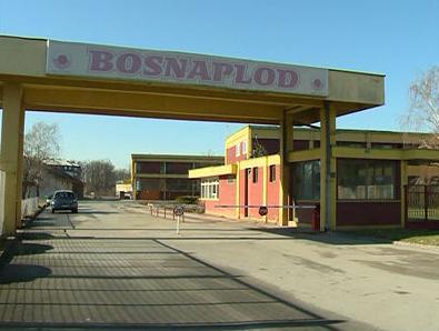 Biznismen iz Dubaija kupio brčanski "Bosnaplod" za šest miliona KM