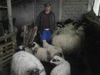 Zbog nedostatka vode gasi farmu