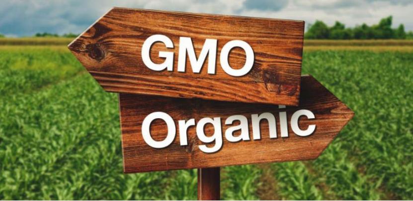 Konferencija o označavanju i kontroli GMO-free prehrambenih proizvoda u BiH
