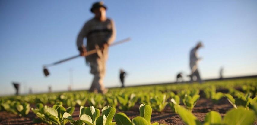 Otkupne cijene poljoprivrednih proizvoda stagniraju godinama