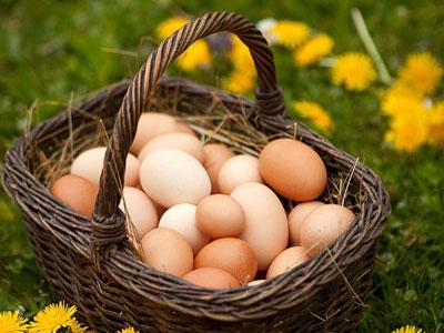 Istraga proizvođača organskih jaja u Njemačkoj