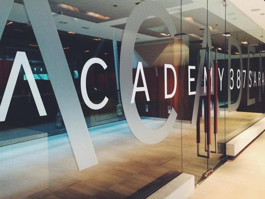 Renomirani IT predavači i programi u "Academy387"