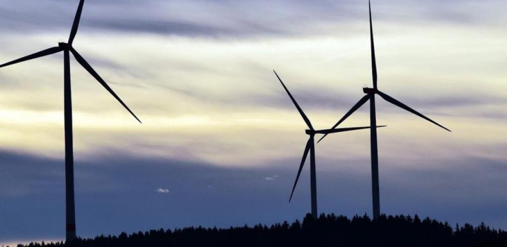 Selmo Cikotić i firme "Bičakčić" i "EIB Internationale" osnovali još jednu firmu