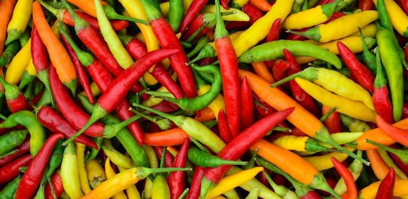 U Bugojnu predstavljen projekt proizvodnje zelenog feferona