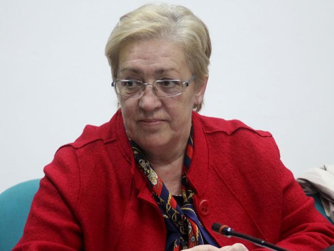 Pašalić: Novi pristup EU prema BiH znači "privođenje pameti"