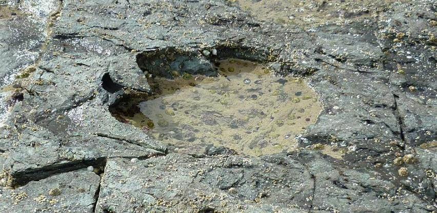 U Argentini pronađeni ostaci krilatog dinosaura mesoždera