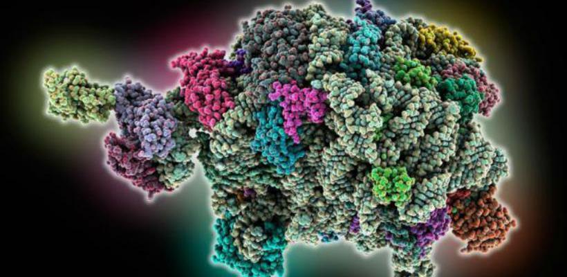 Darwin je bio u pravu: Naučnici otkrili kako je nastao život