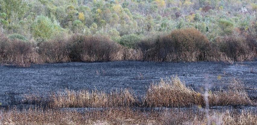 Izgorjelo oko 10 hektara Hutova blata, požar vjerovatno podmetnut